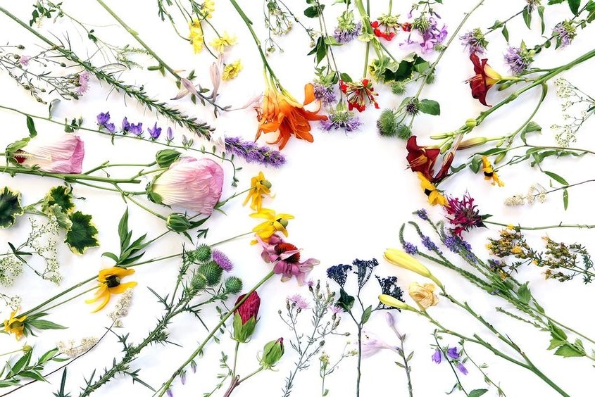 IT IS NOT ALL BAD: about diversity &&nbsp;innovation